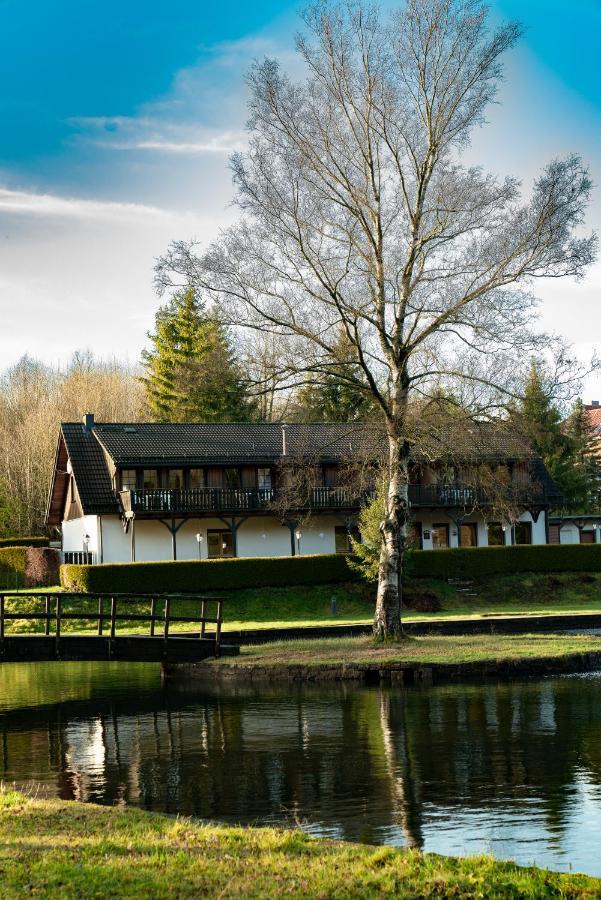 Waldseechalet Traumhafter Waldseeblick - Grosszuegige - Infrarotsauna Hasselfelde